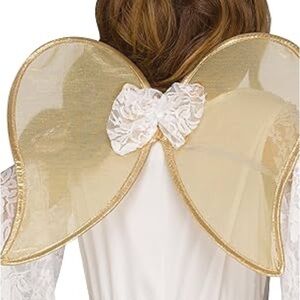 Gold Angel Wings and Halo Set